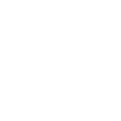 barbell