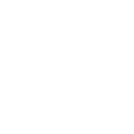 cleaning (1)