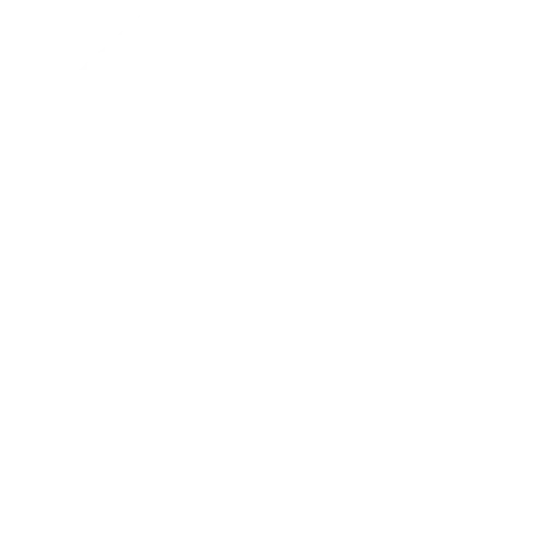 toboggan