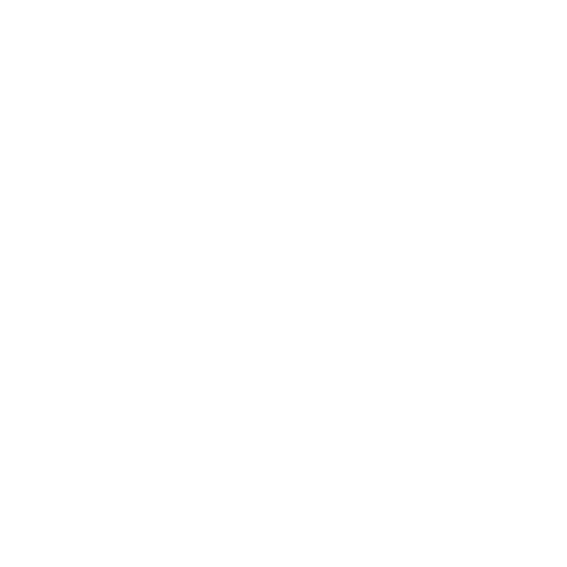 window (1)